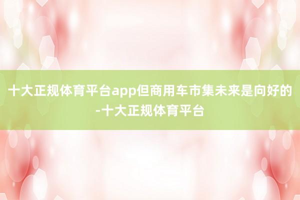 十大正规体育平台app但商用车市集未来是向好的-十大正规体育平台
