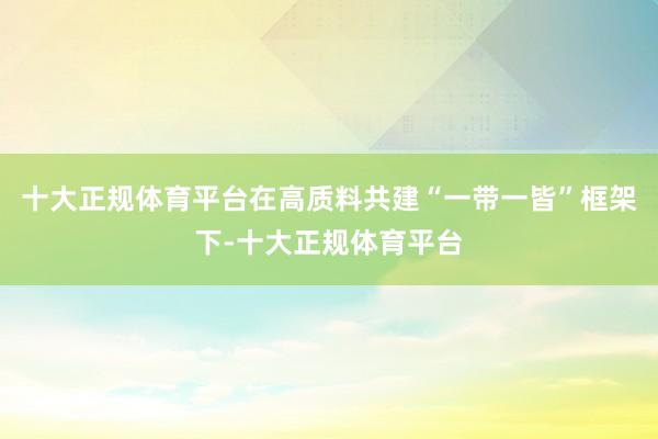 十大正规体育平台在高质料共建“一带一皆”框架下-十大正规体育平台