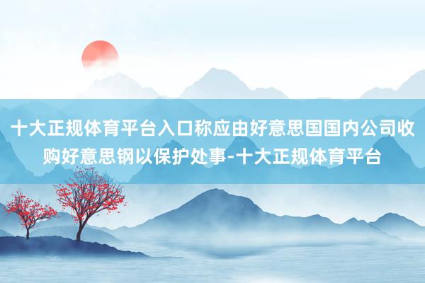 十大正规体育平台入口称应由好意思国国内公司收购好意思钢以保护处事-十大正规体育平台