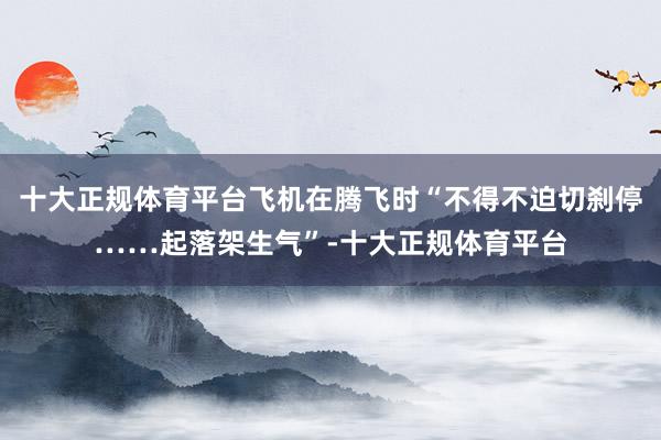 十大正规体育平台飞机在腾飞时“不得不迫切刹停……起落架生气”-十大正规体育平台