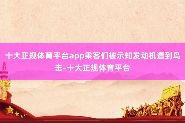 十大正规体育平台app乘客们被示知发动机遭到鸟击-十大正规体育平台