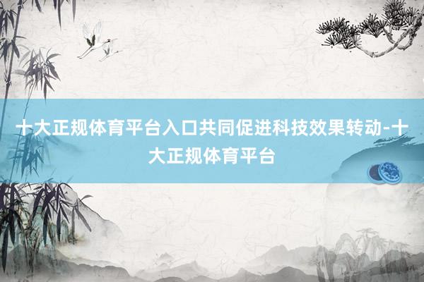 十大正规体育平台入口共同促进科技效果转动-十大正规体育平台