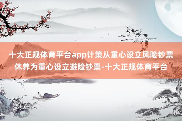 十大正规体育平台app计策从重心设立风险钞票休养为重心设立避险钞票-十大正规体育平台