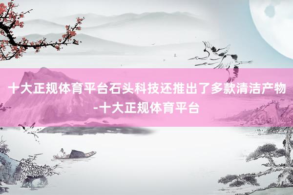 十大正规体育平台石头科技还推出了多款清洁产物-十大正规体育平台