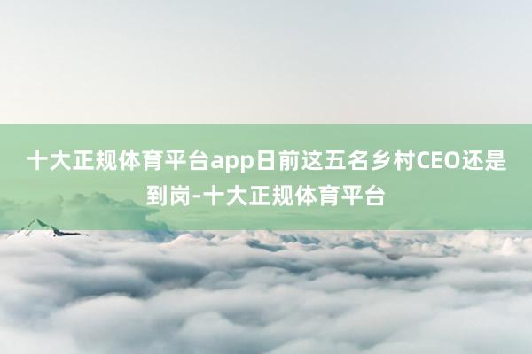 十大正规体育平台app日前这五名乡村CEO还是到岗-十大正规体育平台