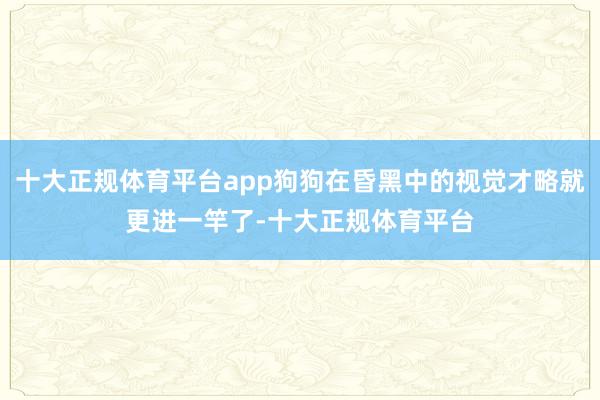 十大正规体育平台app狗狗在昏黑中的视觉才略就更进一竿了-十大正规体育平台