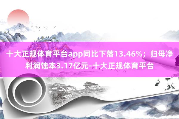 十大正规体育平台app同比下落13.46%；归母净利润蚀本3.17亿元-十大正规体育平台