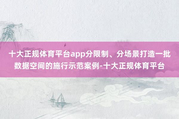 十大正规体育平台app分限制、分场景打造一批数据空间的施行示范案例-十大正规体育平台
