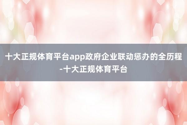 十大正规体育平台app政府企业联动惩办的全历程-十大正规体育平台