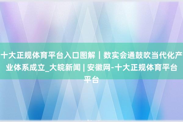 十大正规体育平台入口图解｜数实会通鼓吹当代化产业体系成立_大皖新闻 | 安徽网-十大正规体育平台