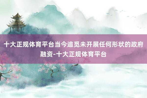 十大正规体育平台当今追觅未开展任何形状的政府融资-十大正规体育平台