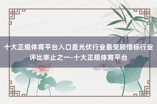 十大正规体育平台入口是光伏行业最受顾惜标行业评比举止之一-十大正规体育平台
