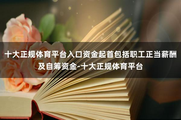 十大正规体育平台入口资金起首包括职工正当薪酬及自筹资金-十大正规体育平台