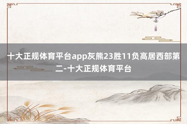 十大正规体育平台app灰熊23胜11负高居西部第二-十大正规体育平台