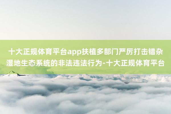 十大正规体育平台app扶植多部门严厉打击错杂湿地生态系统的非法违法行为-十大正规体育平台