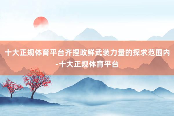 十大正规体育平台齐捏政鲜武装力量的探求范围内-十大正规体育平台