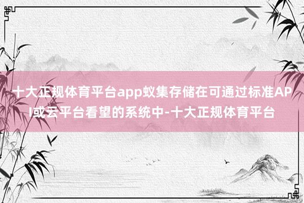 十大正规体育平台app蚁集存储在可通过标准API或云平台看望的系统中-十大正规体育平台