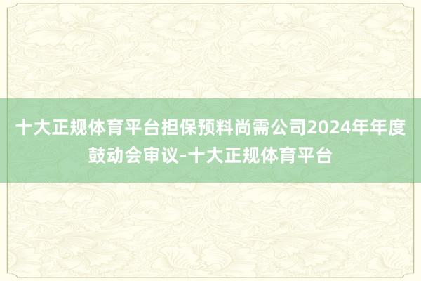 十大正规体育平台担保预料尚需公司2024年年度鼓动会审议-十大正规体育平台