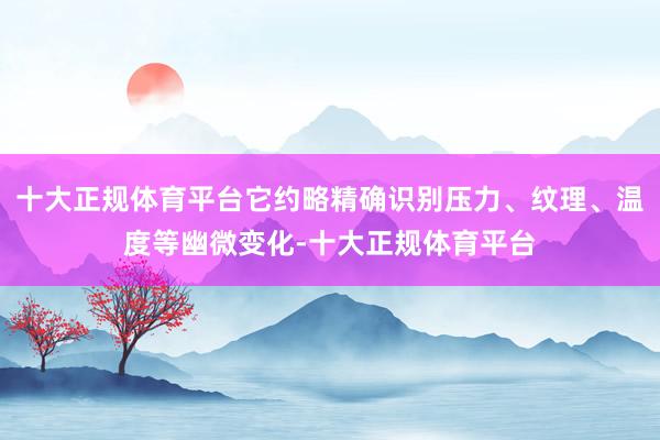 十大正规体育平台它约略精确识别压力、纹理、温度等幽微变化-十大正规体育平台