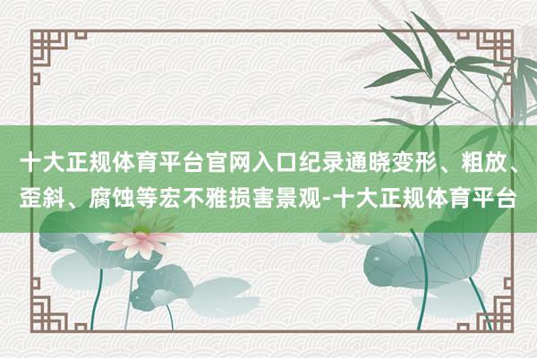 十大正规体育平台官网入口纪录通晓变形、粗放、歪斜、腐蚀等宏不雅损害景观-十大正规体育平台