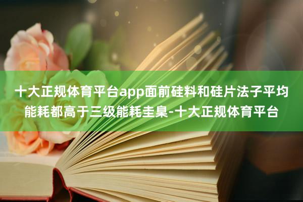 十大正规体育平台app面前硅料和硅片法子平均能耗都高于三级能耗圭臬-十大正规体育平台