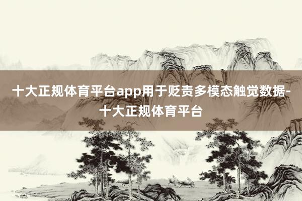 十大正规体育平台app用于贬责多模态触觉数据-十大正规体育平台