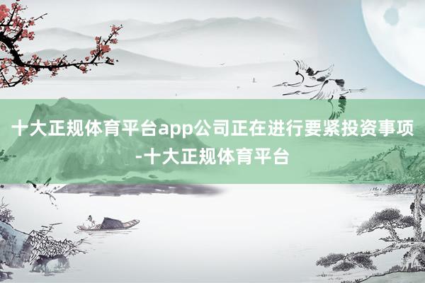 十大正规体育平台app公司正在进行要紧投资事项-十大正规体育平台