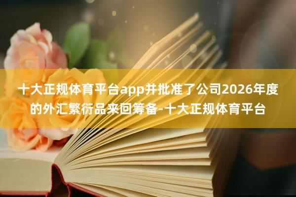 十大正规体育平台app并批准了公司2026年度的外汇繁衍品来回筹备-十大正规体育平台