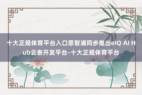 十大正规体育平台入口恩智浦同步推出eIQ AI Hub云表开发平台-十大正规体育平台