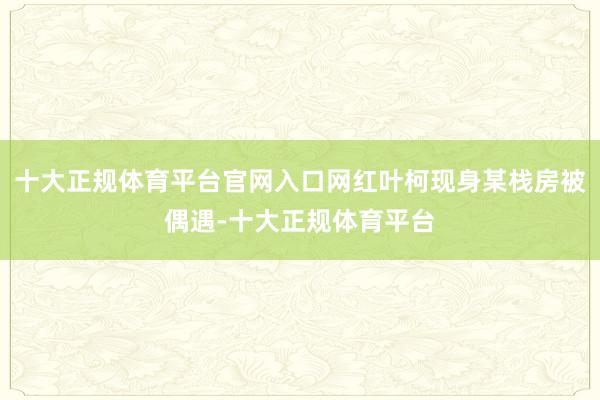 十大正规体育平台官网入口网红叶柯现身某栈房被偶遇-十大正规体育平台