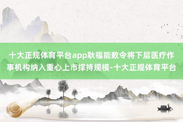 十大正规体育平台app耿福能敕令将下层医疗作事机构纳入重心上市撑持规模-十大正规体育平台