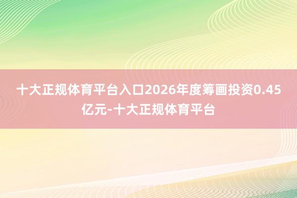 十大正规体育平台入口2026年度筹画投资0.45亿元-十大正规体育平台