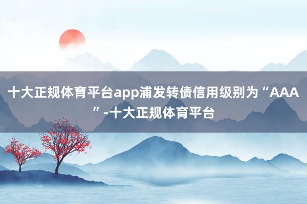 十大正规体育平台app浦发转债信用级别为“AAA”-十大正规体育平台