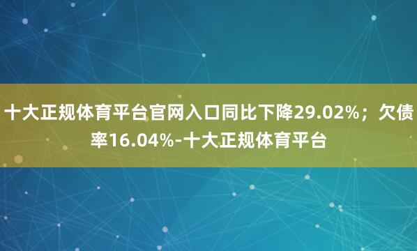 十大正规体育平台官网入口同比下降29.02%；欠债率16.04%-十大正规体育平台