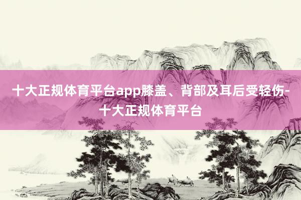 十大正规体育平台app膝盖、背部及耳后受轻伤-十大正规体育平台