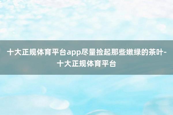 十大正规体育平台app尽量捡起那些嫩绿的茶叶-十大正规体育平台
