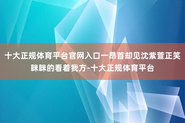 十大正规体育平台官网入口一昂首却见沈紫萱正笑眯眯的看着我方-十大正规体育平台