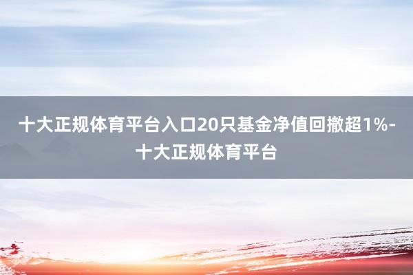 十大正规体育平台入口20只基金净值回撤超1%-十大正规体育平台