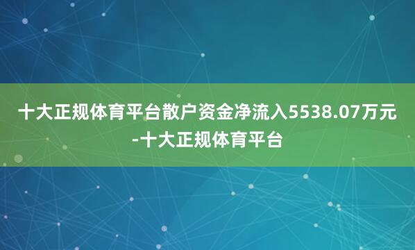 十大正规体育平台散户资金净流入5538.07万元-十大正规体育平台