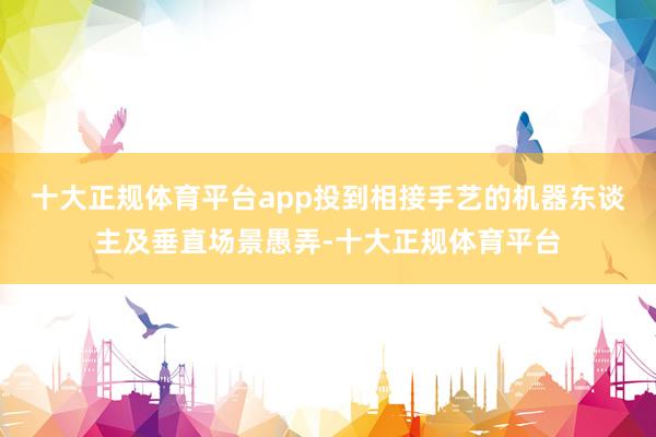 十大正规体育平台app投到相接手艺的机器东谈主及垂直场景愚弄-十大正规体育平台