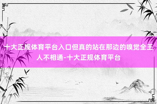 十大正规体育平台入口但真的站在那边的嗅觉全王人不相通-十大正规体育平台