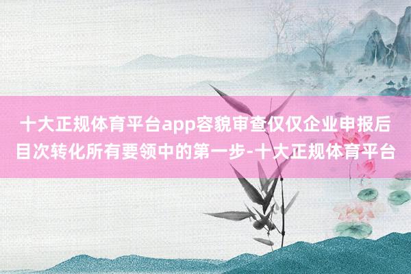 十大正规体育平台app容貌审查仅仅企业申报后目次转化所有要领中的第一步-十大正规体育平台