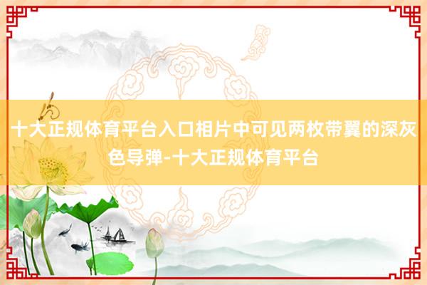 十大正规体育平台入口相片中可见两枚带翼的深灰色导弹-十大正规体育平台
