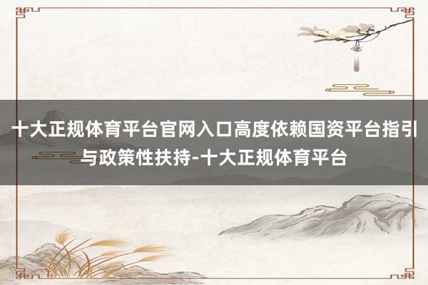 十大正规体育平台官网入口高度依赖国资平台指引与政策性扶持-十大正规体育平台