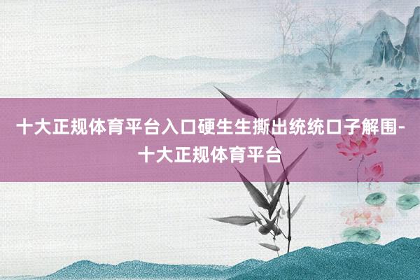 十大正规体育平台入口硬生生撕出统统口子解围-十大正规体育平台