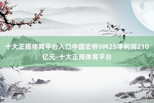 十大正规体育平台入口中国宏桥9M25净利润210亿元-十大正规体育平台
