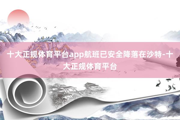 十大正规体育平台app航班已安全降落在沙特-十大正规体育平台